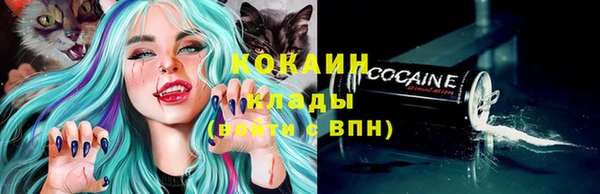 молекула духа Нязепетровск