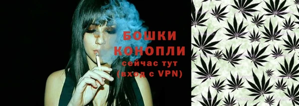 стаф Няндома