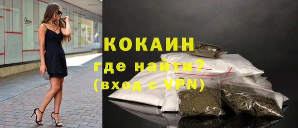 стаф Няндома