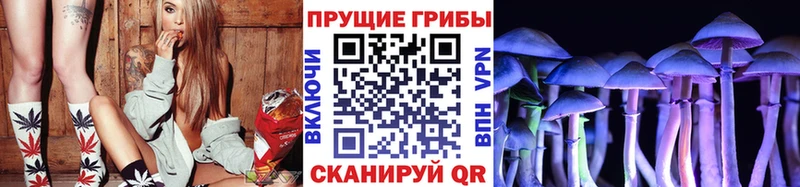 Псилоцибиновые грибы Magic Shrooms  Норильск 
